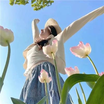 鄂尔多斯骑士 海报