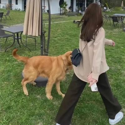 一个刑讯者的下午 海报